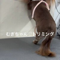 画像4843