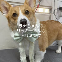 画像4845