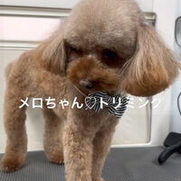 画像4849
