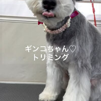 画像4851