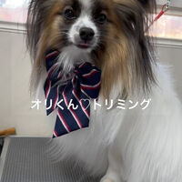 画像4853