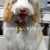 画像4855