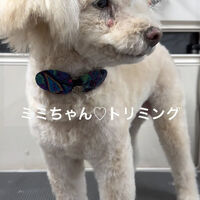 画像4857