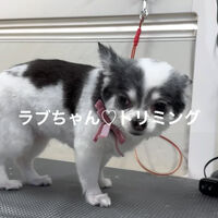 画像4861