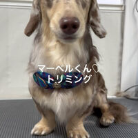 画像4865