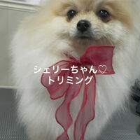 画像4869