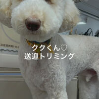 画像4871