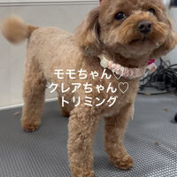 画像4873