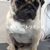 画像4875