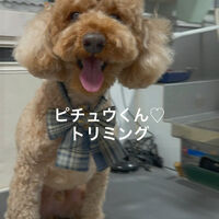 画像4879