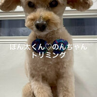 画像4881