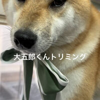 画像4891