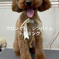 画像4893