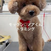 画像4895