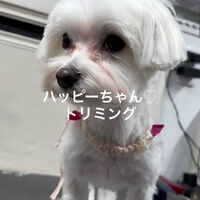 画像4897