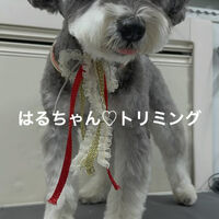画像4901