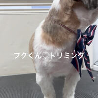 画像4903