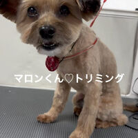 画像4907