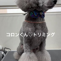 画像4911