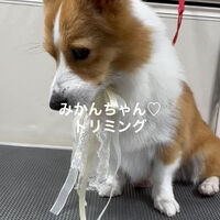 画像4913