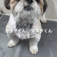 画像4915