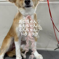 画像4919
