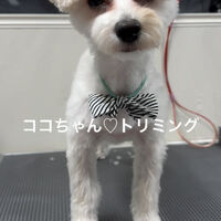 画像4923
