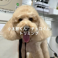 画像4925