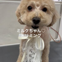 画像4927