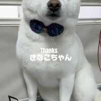 画像4931