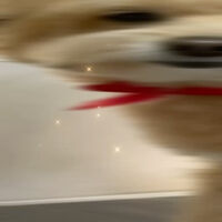 画像5025