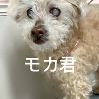 画像5061