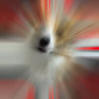 画像5069