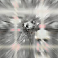 画像5085