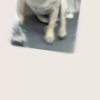 画像5097