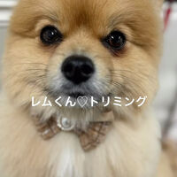 画像5137