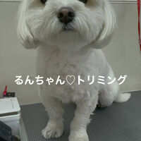 画像5163