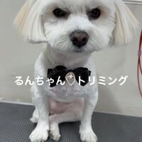 画像5165