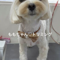 画像5167