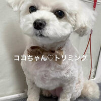 画像5193