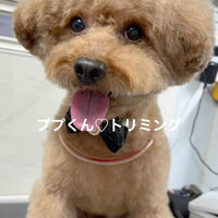画像5195