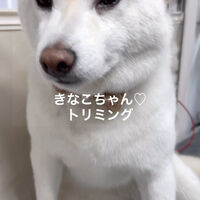 画像5201