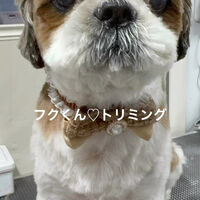 画像5205