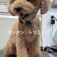 画像5207
