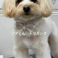 画像5209
