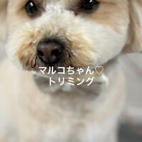 画像5211