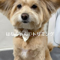 画像5215