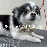 画像5219