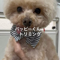 画像5221
