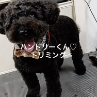 画像5227
